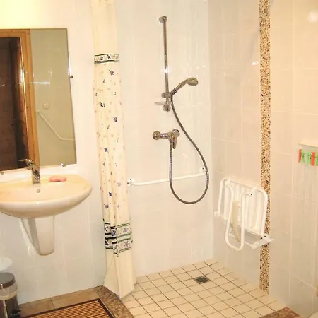 Apartment A 200m Des Pistes A 87370 *